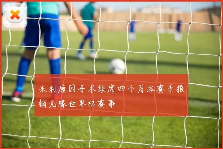 米利唐因手术缺席四个月本赛季报销无缘世界杯赛事